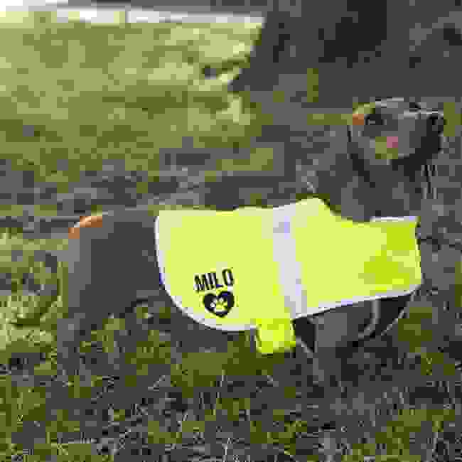 Personalised Reflective Dog Coat