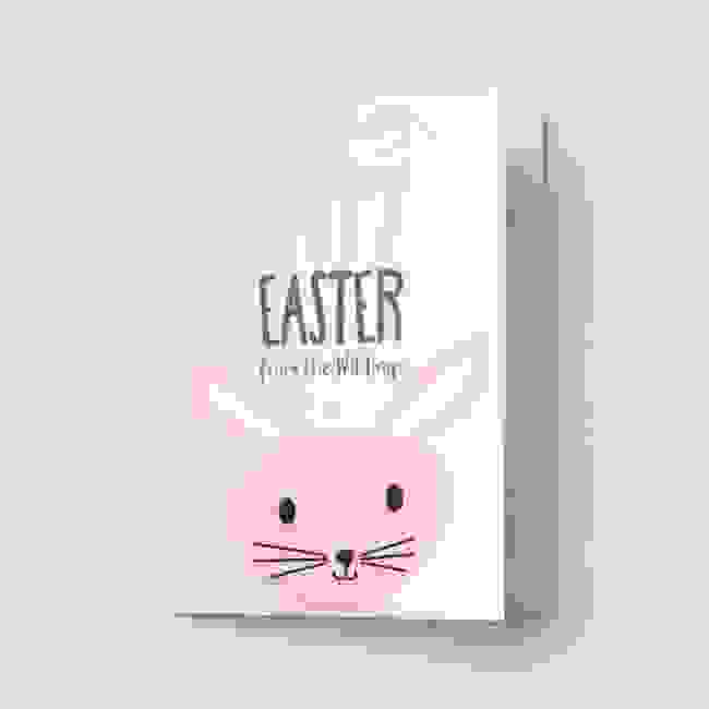 Pink Rabbit Easter Cards 