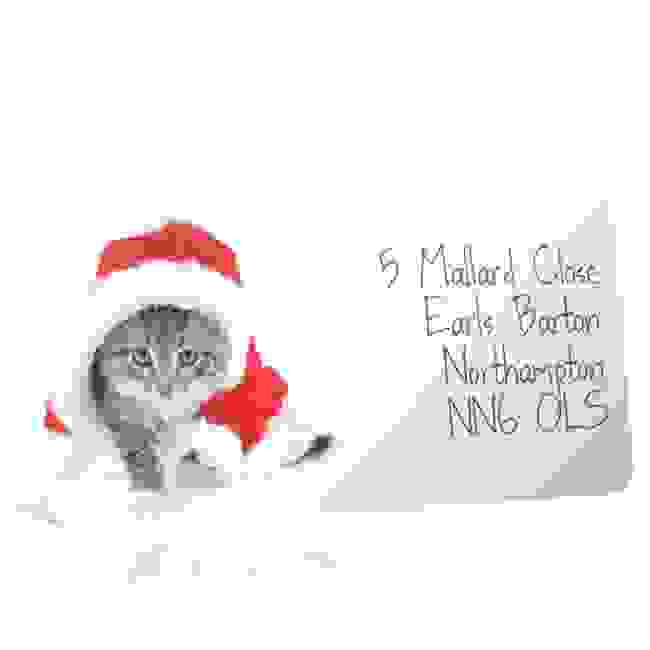 Christmas A4 Sheet Labels - Cat in a Santa Hat 2