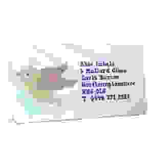 Pre Designed Character Bird Address Label on A4 Sheets