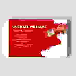 Painter & Decorator Templated Business Card 1