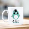 Best Teacher Green Owl Mug 