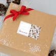 Christmas 2017 Gift Labels - Reindeer