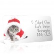 Christmas A4 Sheet Labels - Cat in a Santa Hat 2