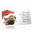 Christmas A4 Sheet Labels - Puppy in a Santa Hat 2